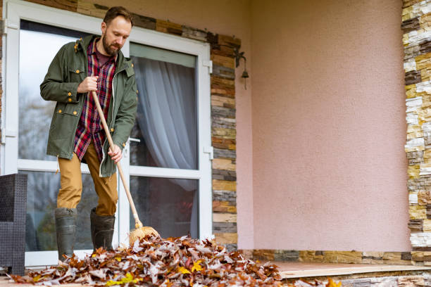 Best Dumpster Rental Services  in Fox Lake Hls, IL